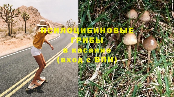 ГАЛЛЮЦИНОГЕННЫЕ ГРИБЫ Богородск