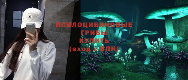 ГАЛЛЮЦИНОГЕННЫЕ ГРИБЫ Богородск