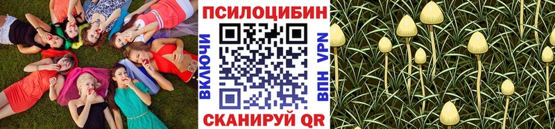 Галлюциногенные грибы Cubensis  маркетплейс состав  Малая Вишера 